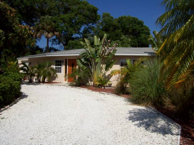 Exterior entrance with traveler palm